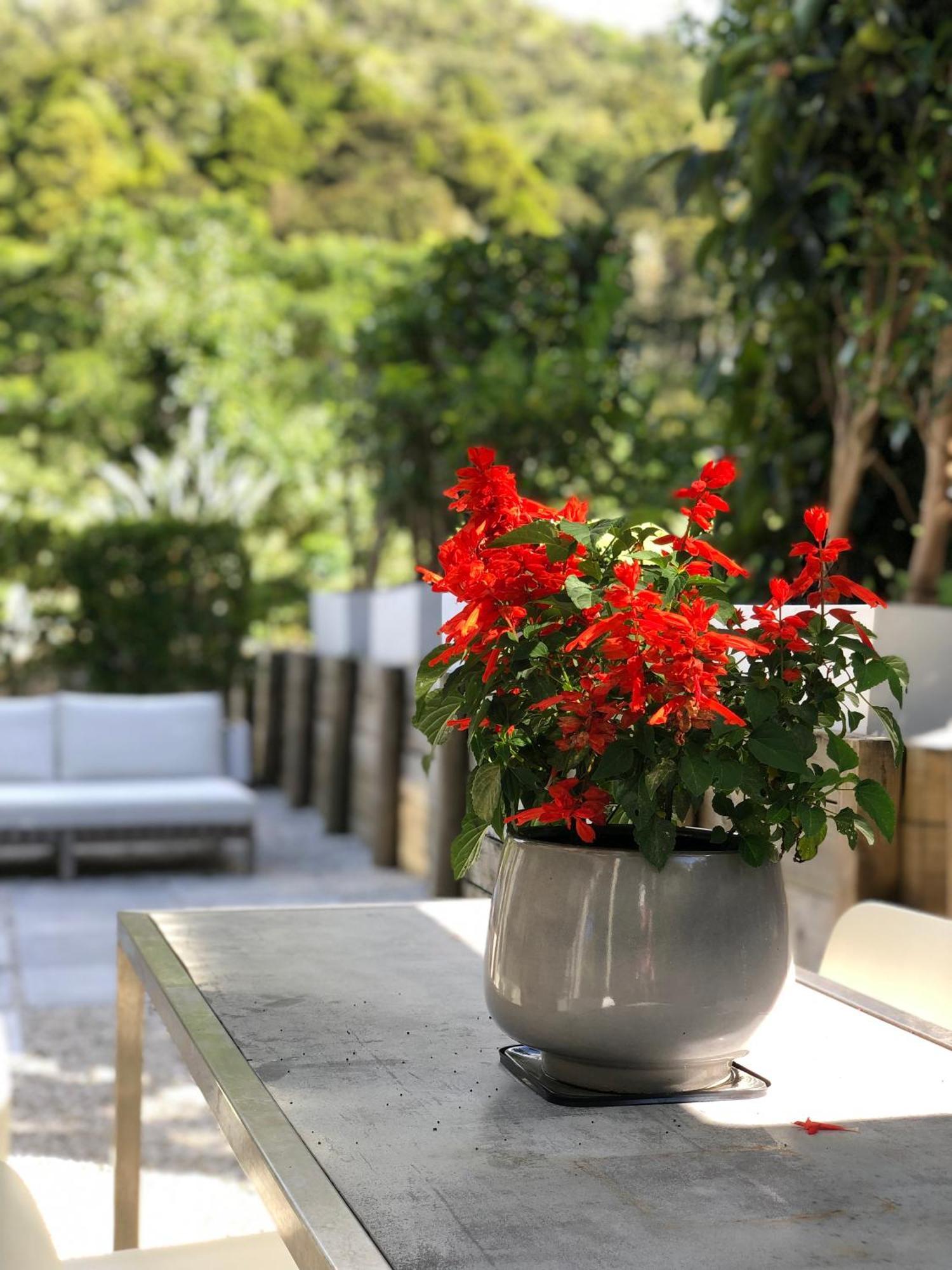 Villetta - Matakana Boutique Luxury Accommodation Exterior foto